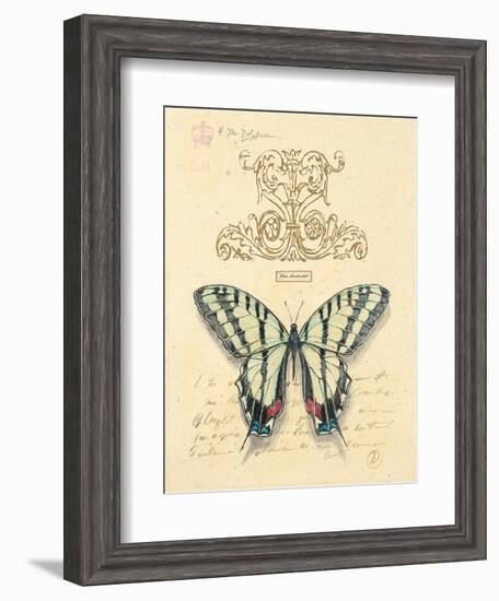 Filigree Papillon-Chad Barrett-Framed Art Print