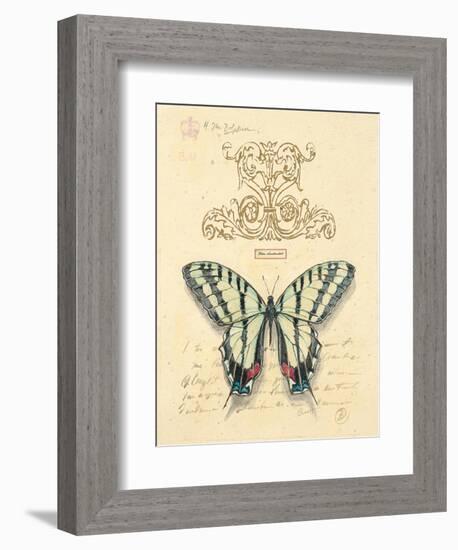 Filigree Papillon-Chad Barrett-Framed Art Print