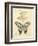 Filigree Papillon-Chad Barrett-Framed Art Print