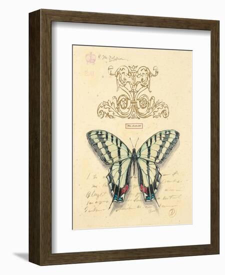 Filigree Papillon-Chad Barrett-Framed Art Print