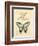 Filigree Papillon-Chad Barrett-Framed Art Print