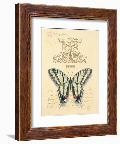 Filigree Papillon-Chad Barrett-Framed Art Print