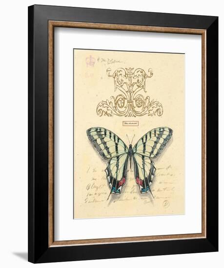 Filigree Papillon-Chad Barrett-Framed Art Print