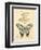 Filigree Papillon-Chad Barrett-Framed Art Print