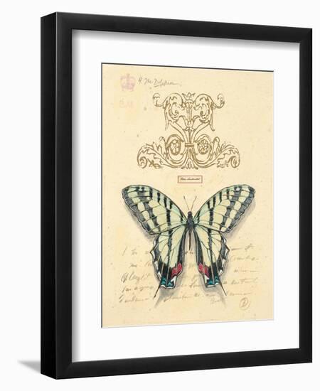 Filigree Papillon-Chad Barrett-Framed Art Print