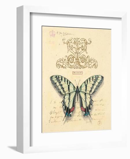 Filigree Papillon-Chad Barrett-Framed Art Print