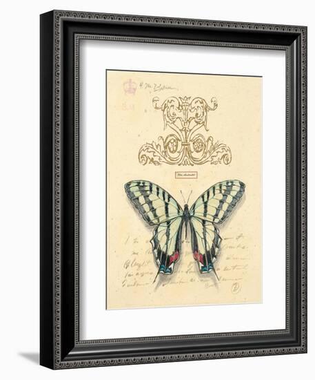 Filigree Papillon-Chad Barrett-Framed Art Print