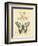 Filigree Papillon-Chad Barrett-Framed Art Print