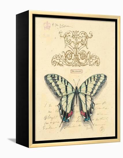 Filigree Papillon-Chad Barrett-Framed Stretched Canvas