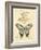 Filigree Papillon-Chad Barrett-Framed Art Print