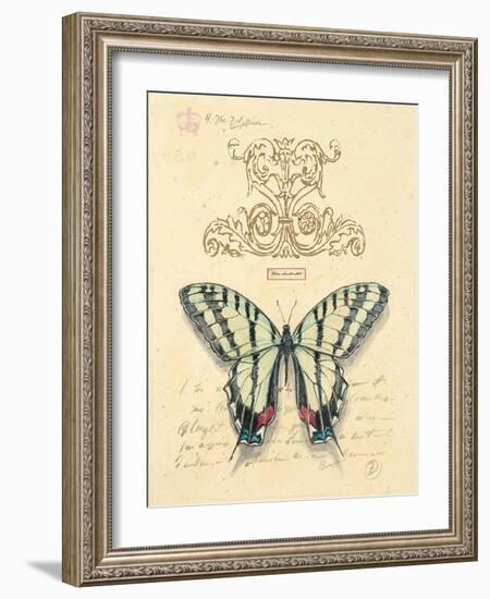 Filigree Papillon-Chad Barrett-Framed Art Print