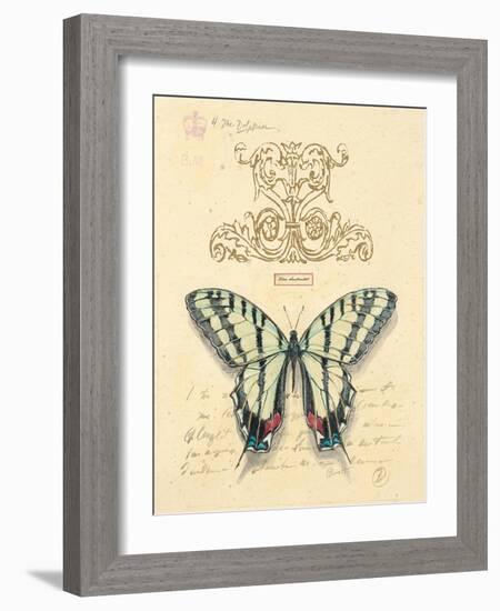 Filigree Papillon-Chad Barrett-Framed Art Print