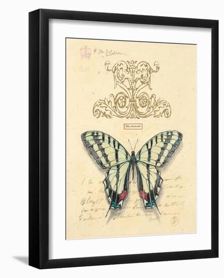 Filigree Papillon-Chad Barrett-Framed Art Print