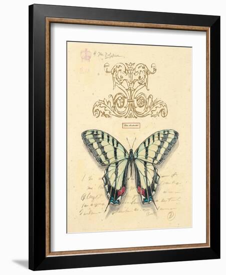 Filigree Papillon-Chad Barrett-Framed Art Print