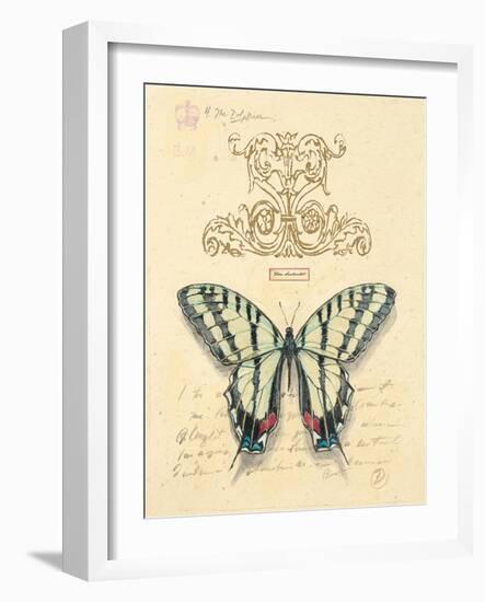 Filigree Papillon-Chad Barrett-Framed Art Print