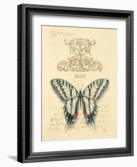 Filigree Papillon-Chad Barrett-Framed Art Print