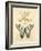 Filigree Papillon-Chad Barrett-Framed Art Print