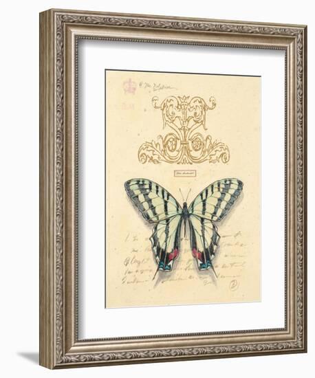 Filigree Papillon-Chad Barrett-Framed Art Print