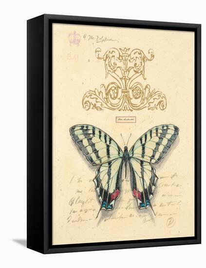 Filigree Papillon-Chad Barrett-Framed Stretched Canvas