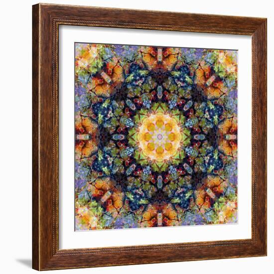 Filigree Shining Mandala Ornament from Flower Photographs, Conceptual Layer Work-Alaya Gadeh-Framed Photographic Print