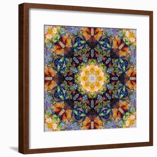 Filigree Shining Mandala Ornament from Flower Photographs, Conceptual Layer Work-Alaya Gadeh-Framed Photographic Print