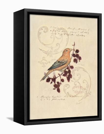 Filigree Songbird-Chad Barrett-Framed Stretched Canvas