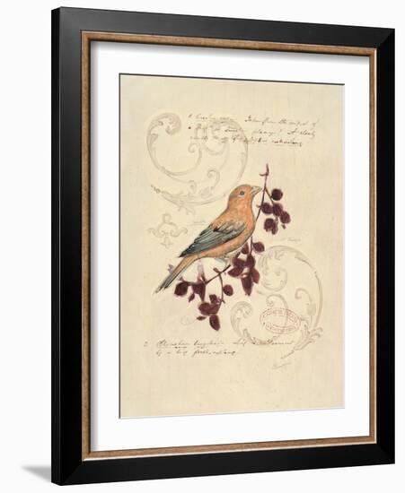 Filigree Songbird-Chad Barrett-Framed Art Print
