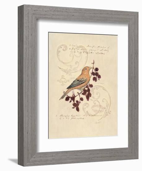 Filigree Songbird-Chad Barrett-Framed Art Print