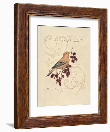 Filigree Songbird-Chad Barrett-Framed Art Print