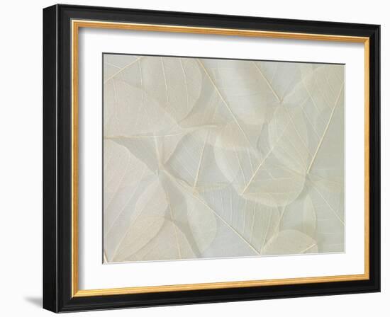 Filigree-Assaf Frank-Framed Giclee Print