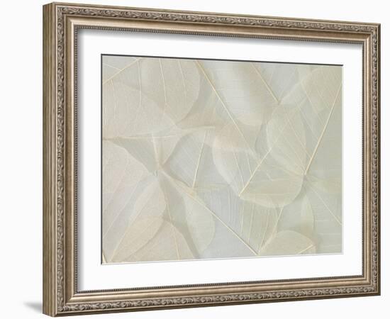 Filigree-Assaf Frank-Framed Giclee Print