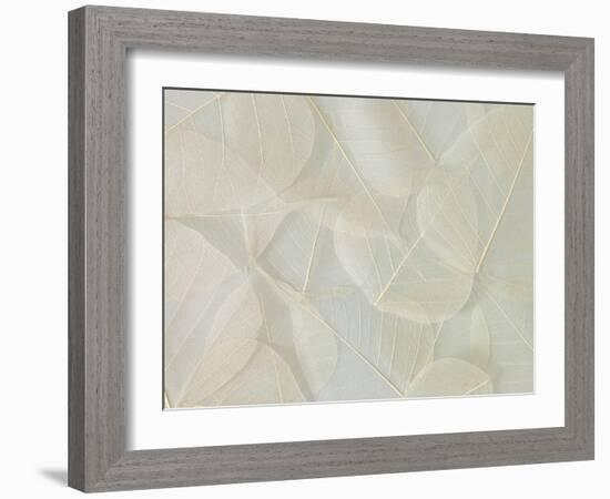 Filigree-Assaf Frank-Framed Giclee Print