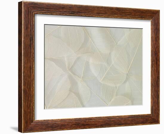 Filigree-Assaf Frank-Framed Giclee Print