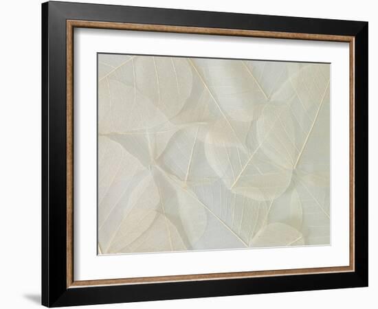 Filigree-Assaf Frank-Framed Giclee Print