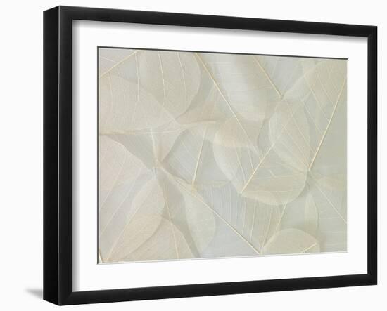 Filigree-Assaf Frank-Framed Giclee Print