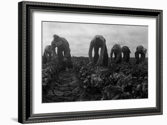 Filipinos Cutting Lettuce-Dorothea Lange-Framed Art Print