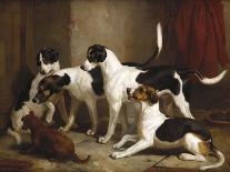 The Puckeridge Foxhounds: 'Rantipole', 'Rummager', 'Racer' and 'Reveller', 1845-Filipo Or Frederico Bartolini-Giclee Print