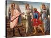 Stretched Canvas Print
