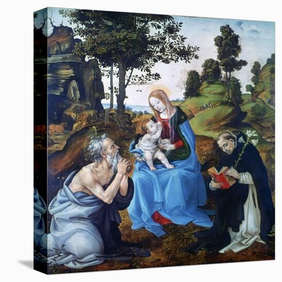 Stretched Canvas Print, , large