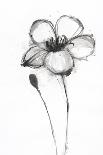 Black and White Bouquet 1-Filippo Ioco-Art Print