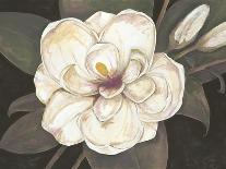 Southern Magnolia-Filippo Ioco-Art Print
