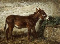 Donkey at Crib-Filippo Palizzi-Giclee Print