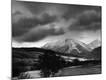 Photographic Print