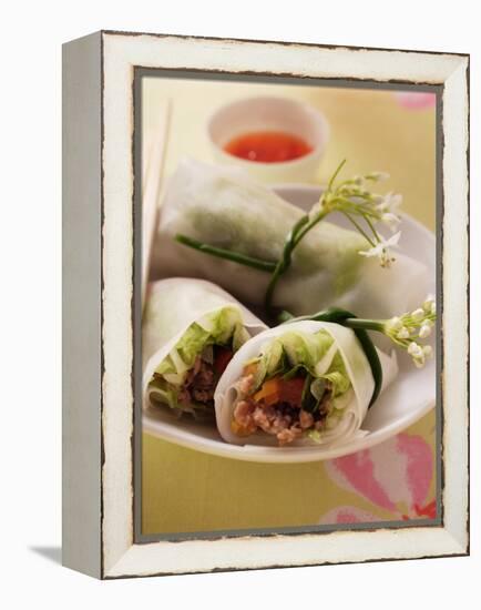 Filled Rice Paper Rolls from Vietnam-null-Framed Premier Image Canvas