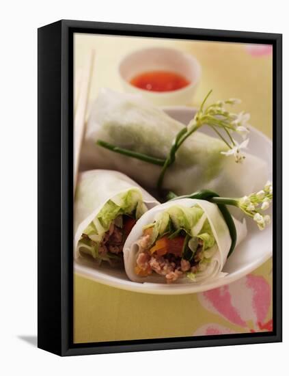 Filled Rice Paper Rolls from Vietnam-null-Framed Premier Image Canvas