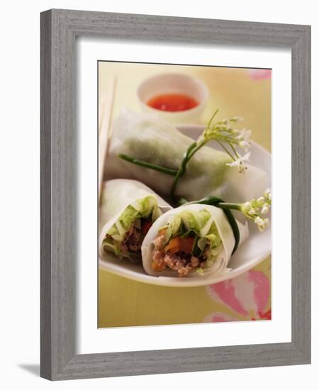 Filled Rice Paper Rolls from Vietnam-null-Framed Photographic Print