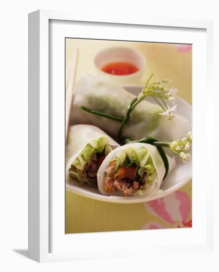 Filled Rice Paper Rolls from Vietnam-null-Framed Photographic Print