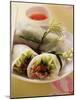 Filled Rice Paper Rolls from Vietnam-null-Mounted Photographic Print