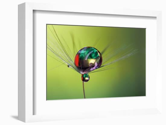 Filled with colors-Heidi Westum-Framed Photographic Print