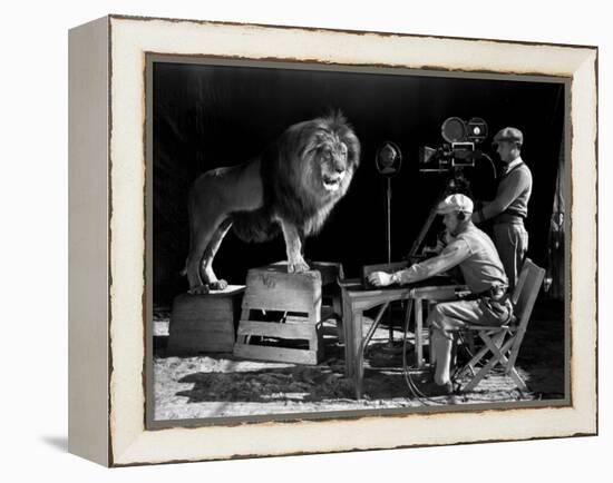 Film History: M. G. M.. Shooting of the Logo for the Metro Goldwyn Mayer-null-Framed Premier Image Canvas